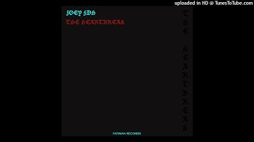 Joey FDH - My Heart Is Black