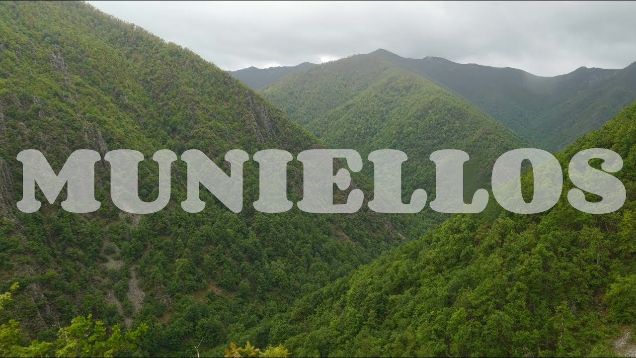 Hiking in the Muniellos Nature Reserve, Asturias , Spain  | Hiking Spain 