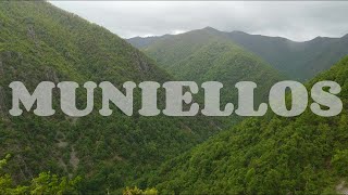 Hiking in the Muniellos Nature Reserve, Asturias , Spain  | Hiking Spain #hiking #shirinyoku