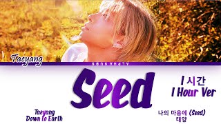 [1시간/HOUR] TAEYANG (태양) - SEED (나의 마음에) Lyrics/가사 [Han|Rom|Eng]