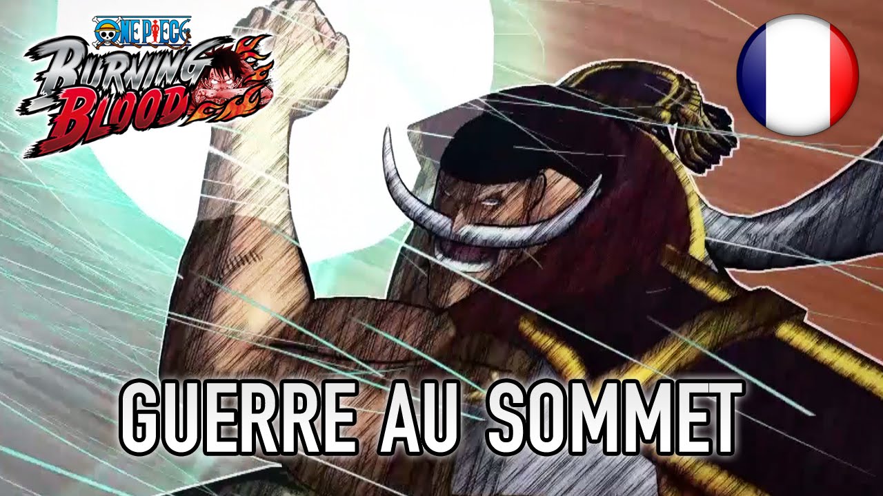 One Piece Burning Blood - PS4/XB1/PC/PS Vita - Guerre au Sommet (French