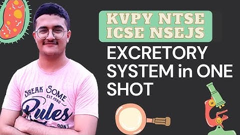 Excretory System - KVPY SA, NTSE/Stage 2, ICSE, NSEJS. Selina Concise Biology.