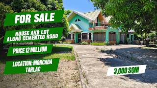 (545) FOR SALE 3,000 SQM HOUSE AND LOT, ALONG CEMENTED ROAD, NEAR MC ARTHUR HIGHWAY AND TOWN PROPER