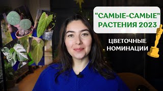 Самое БЫСТРОРАСТУЩЕЕ растение 2023, РАЗОЧАРОВАНИЕ года, РАСТЕНИЕ, которое стоило своих ДЕНЕГ