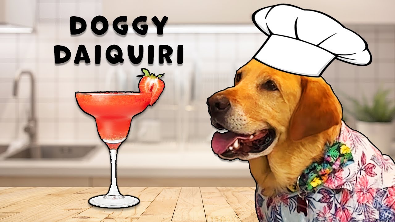 Doggy Daiquiris for Humans and Dogs YouTube