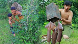 Survival in the rainforest-mans found octopus for cook -Eating delicious