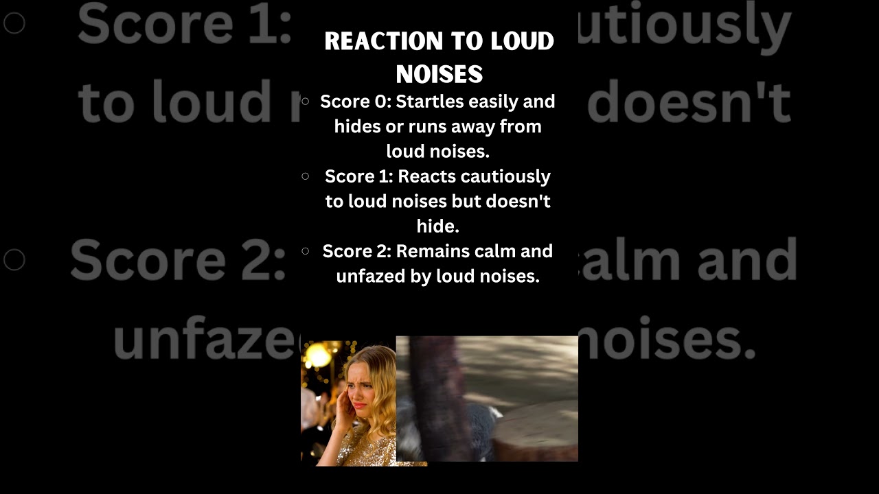 Is my Cat Introvert, Extrovert or Ambivert? Test included பூனையின் நடத்தை பண்புகள் எப்படி?