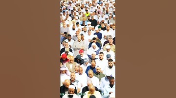 أفلا يتدبرون القرآن ~ تلاوة خاشعة جداً بأعلى طبقات حنجرته💔 بصوت الشيخ ياسر الدوسري || رمضان 1444ه‍ـ