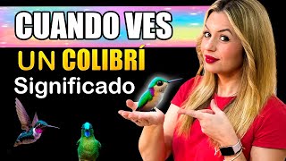 Qué Significa Cuando Ves Un Colibrí? Significado Y Simbolismo