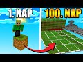 TÚLÉLTEM 100 NAPOT EGY EGYBLOKKOS SZUPER SKYBLOCKON!!