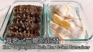 海參和花膠的浸發【詳細記錄泡發過程！海參買得對，浸發率可達8-10倍大】　(Sub &amp; English Recipe) How to Prepare Fish Maw and Sea Cucumber