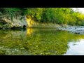 Relaxing Nature Sounds - River Noise and water sound for deep sleep 8 hours