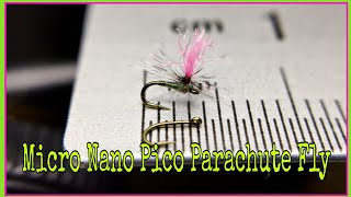 Micro Nano Pico Parachute Fly