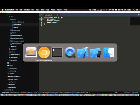 Tutorial 30 :