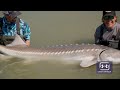 Middle of video