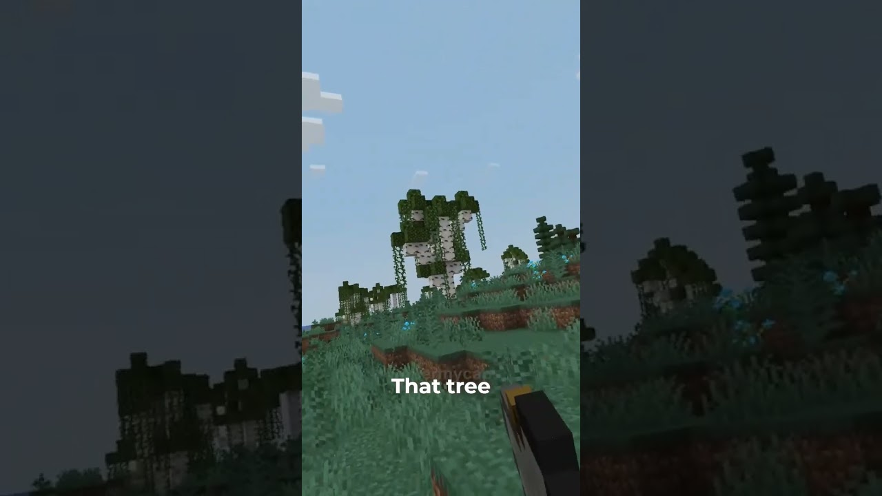 YouTube player