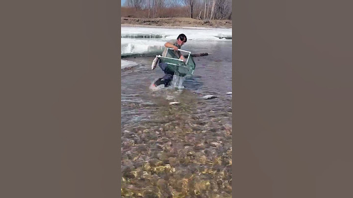 【搞笑漁民真實生活】日出日落，勤勤恳恳！#fishing  #shorts