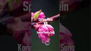 Spring Rain 🌧️ | Love remembered in silence | Korean Poetry Song