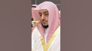 سورة فصلت | الشيخ #الوليد_الشمسان