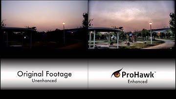 ProHawk Low Light Playground