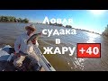 Ловля судака летнюю жару . В тени +40 !! Graphiteleader Vivo Nuovo 842M