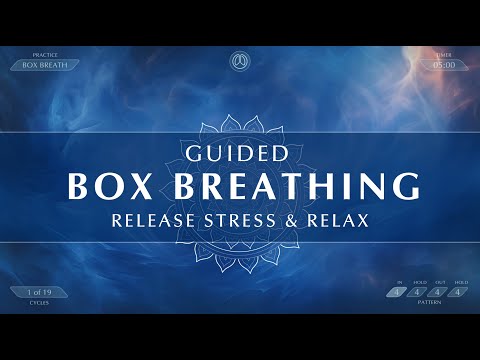 Guided Box Breathing Practice | Release Stress & Relax In Just 5 minutes