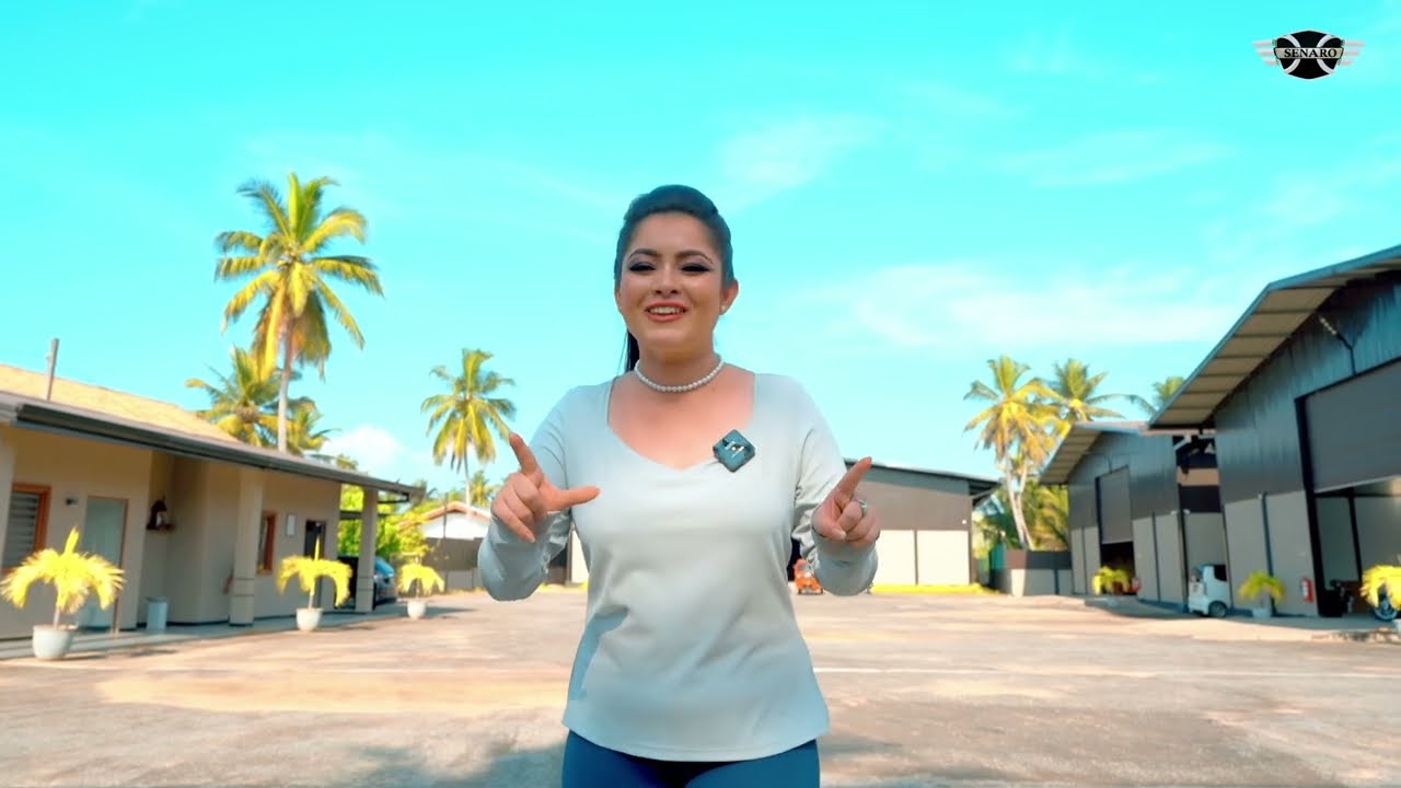 SENARO AUTOMOBILE ASSEMBLING COMPLEX...