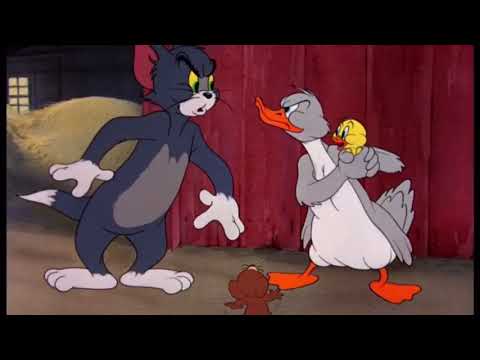 انت شرايد