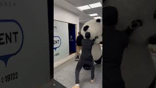 هتموووت من الباندا