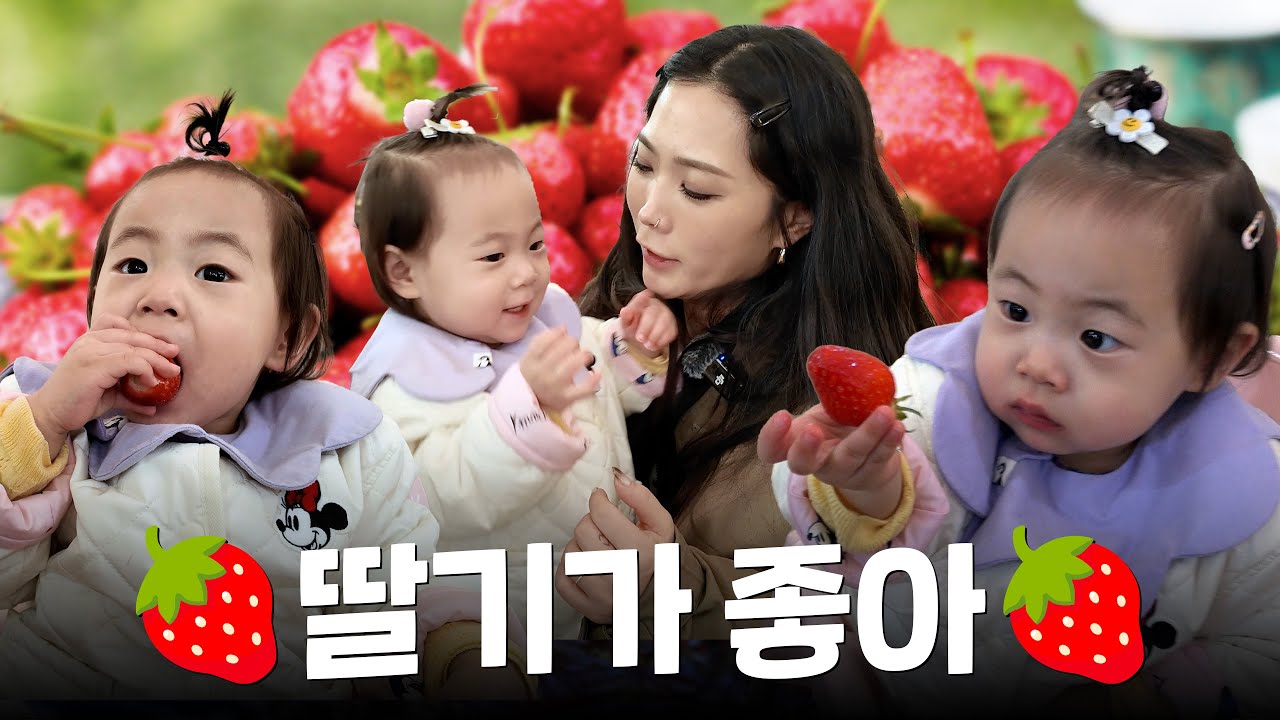 허니제이와 러브의 첫 딸기 수확! 🍓 “딸기 최고~” | 허니제이 | 러브 | HONEYJ |