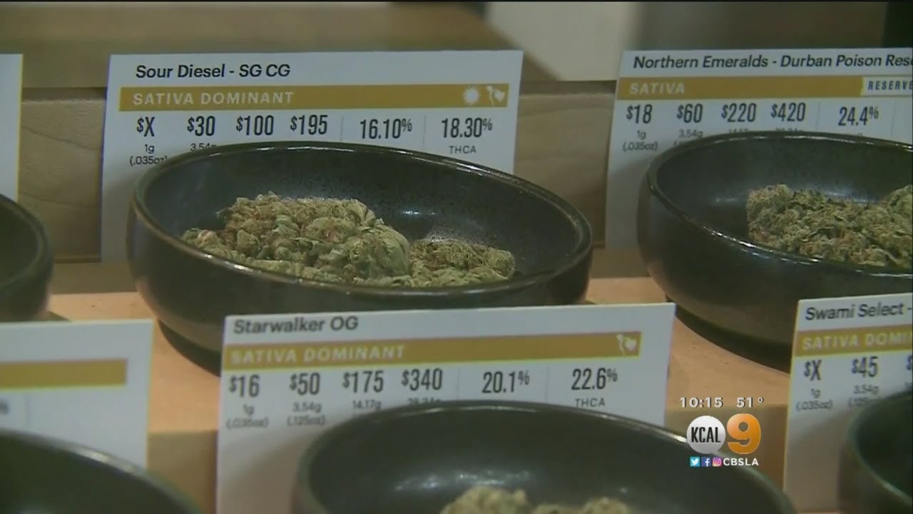 As CA Readies Itself For Legalization, Here Is Some Of What You Can And Can't Do With Recreational P