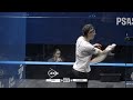 🇪🇸 Pajares v Coll 🇳🇿 | New Zealand Open 2026 | SEMI-FINAL HIGHLIGHTS