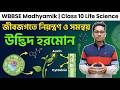Plant Hormones (উদ্ভিদ হরমোন) | Class 10 WBBSE Life Science Chapter 1 | Madhyamik