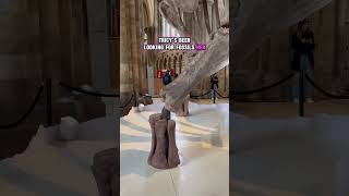 The BIGGEST Dinosaur Ever Lived... and Tricy found it!