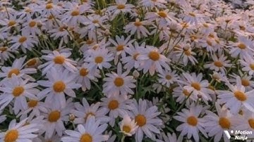 الله نور السماوات والأرض الربع السادس من الجزء الثامن عشر من سورة النور الحصري المعلم للقران الكريم