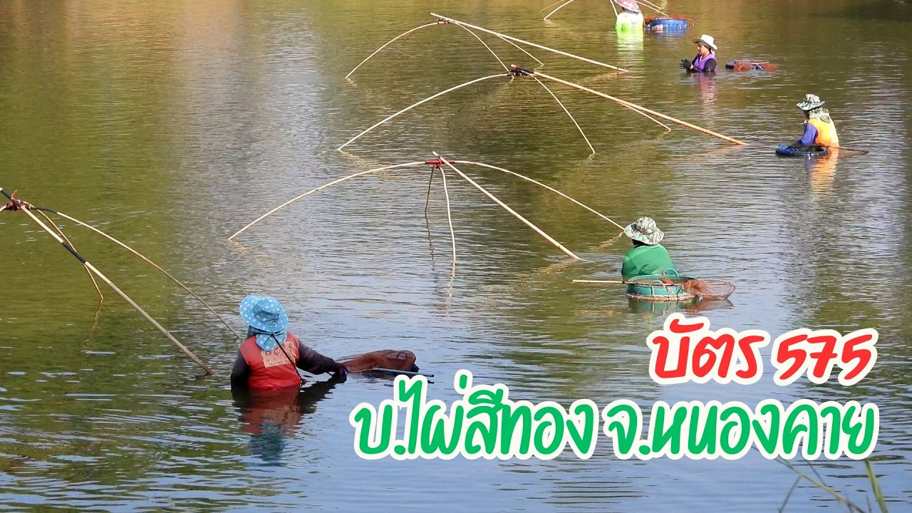 เหมาบ่อยอยอ 8,000 บาท กับทีมงาน 14 คน