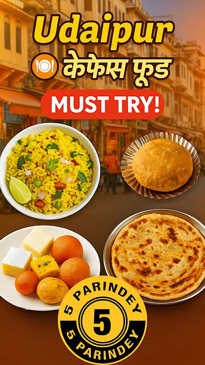 Best Food in Udaipur #shorts #ytshorts #padmavati #chittorgarh #5parindey #foodshorts