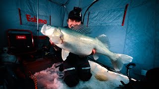 Lake Winnipeg is ON! Big Shallow Walleye