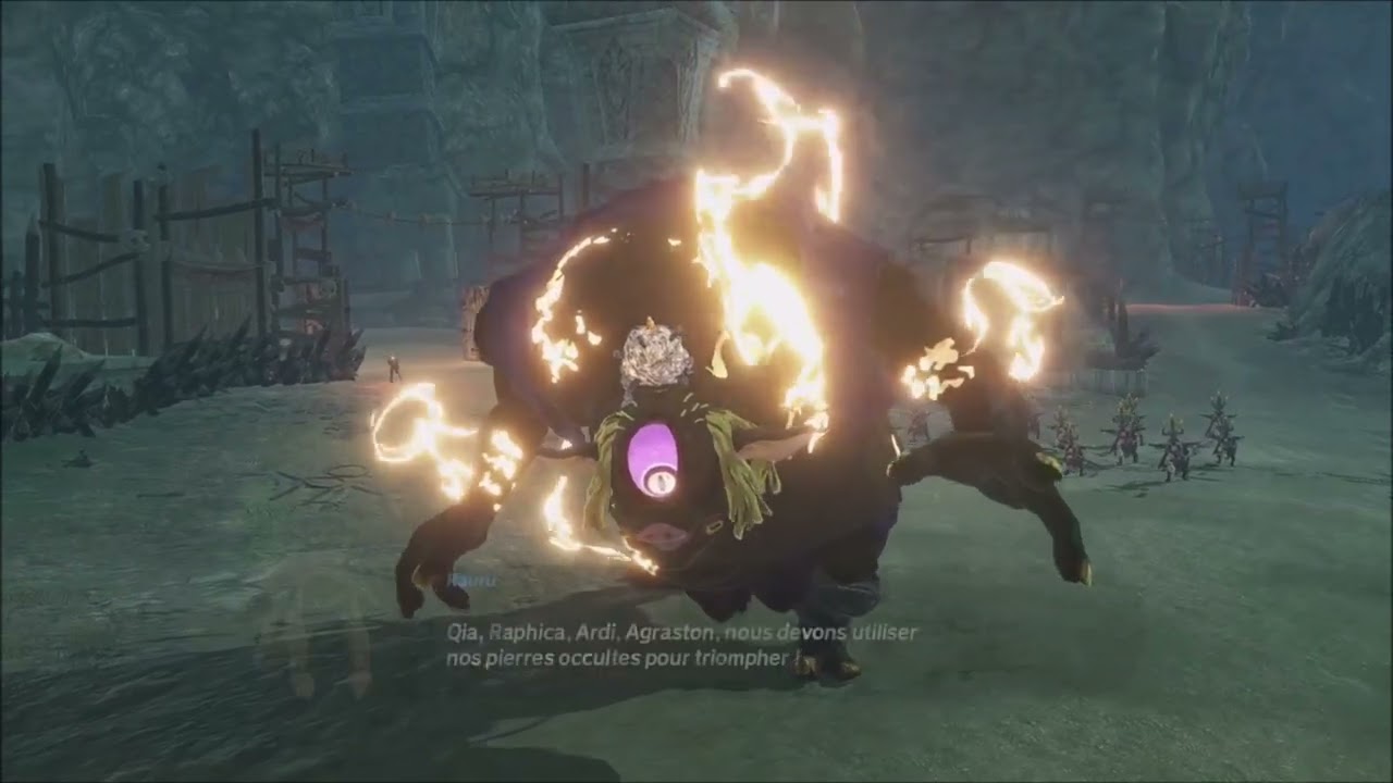 Hyrule Warriors : Les Chroniques du Sceau Part 5