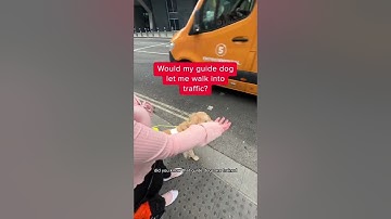 Would my guide dog let me walk into traffic?