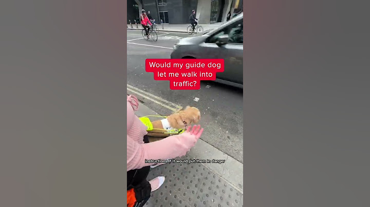 Would my guide dog let me walk into traffic?
