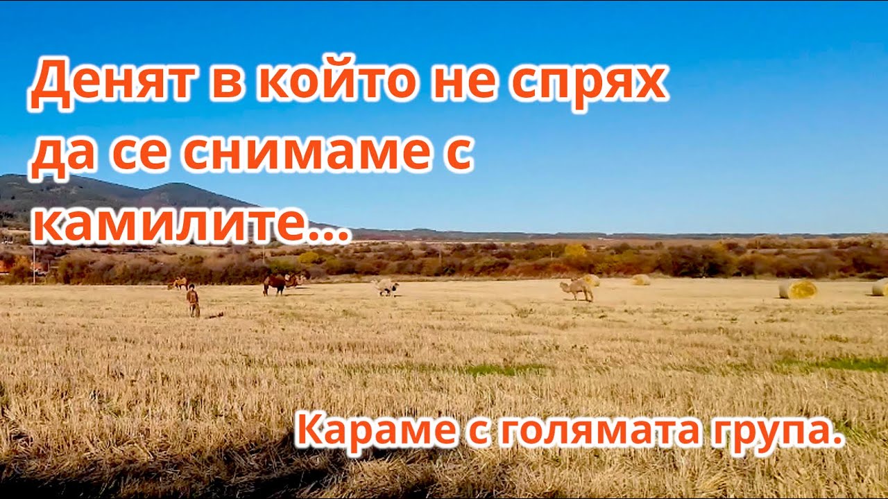 Голямата група, малко камили в с. Ярлово и много простотии - Enduro и ATV Bulgaria