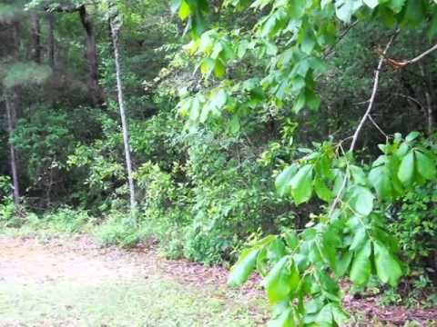 1 Hudson Dr, Whiteville, NC home video tour