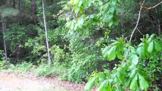 1 Hudson Dr video tour