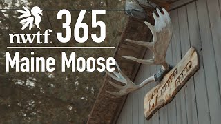 Maine Moose Hunt : NWTF 365