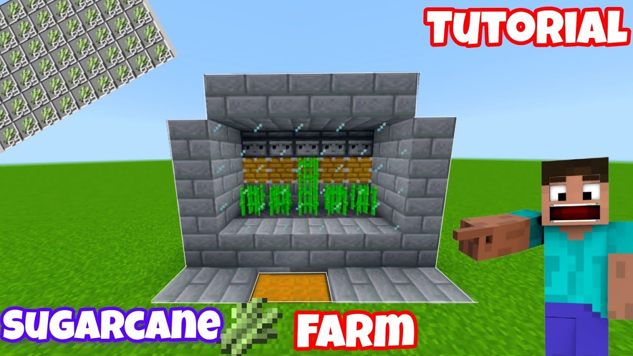 SUGARCANE FARM IN MINECRAFT VERY EASY TUTORIAL! 1.21.21 (HINDI) (MCPE ...