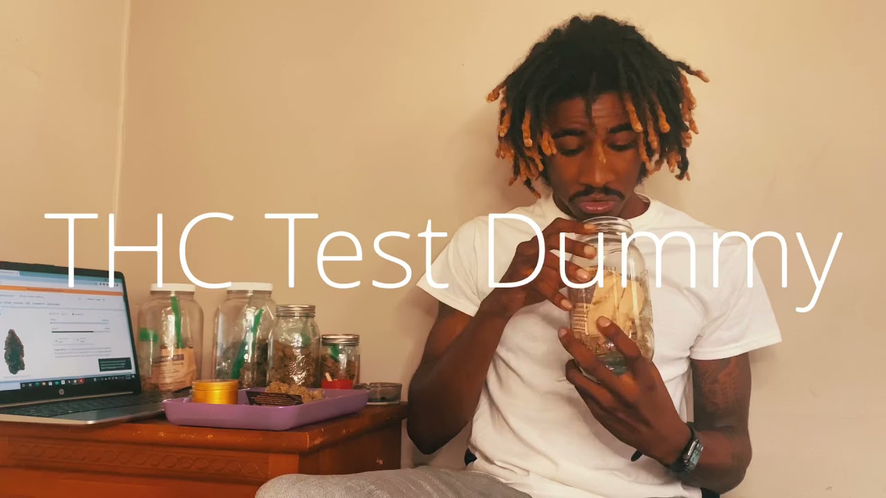 THC Test Dummy - Jungle Mintz