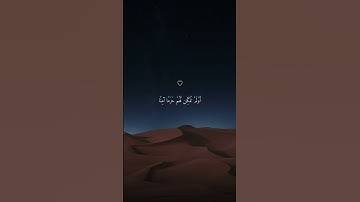 ولكنّ الله يهدي من يشاءُ ♡ || أجمل التلاوات أرح سمعك وقلبك بها ♡ ... || #ماهر_المعيقلي #makkah