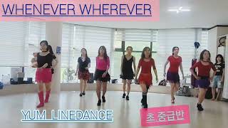 whenever  wherever Linedance  improver 초중급 라인댄스
