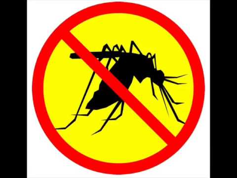 Anti Mosquito Mostique Sound Mp3 File To Download Www Trouvelove Com Réseau De Rencontre 100